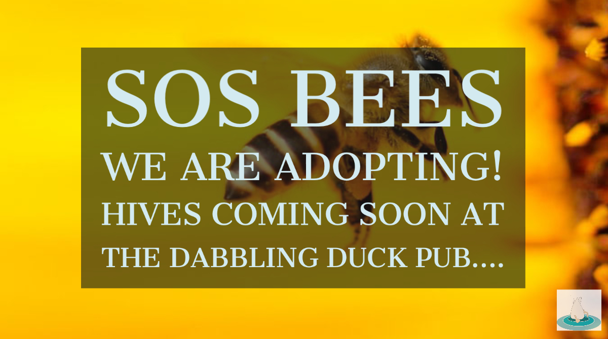 Bees are under threat of extinction.Bees are our predominant pollinators.Pollination is crucial because many of our vegetables,fruits &amp; the crops that feed our livestock rely on it to be fertilised,so without it,we could go hungry.#bees #extinction #savethebees #sosbees #adop ...