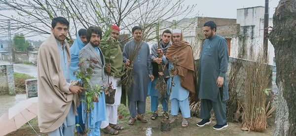 MAH4739's tweet image. #SpringPlantation 
Plants Distribution..
200 different types of fruit plants handed our to volunteers and people of Village Lahor district Swabi
#HamainAagyJanaHay
#GreenPakistan @iqrarulhassan