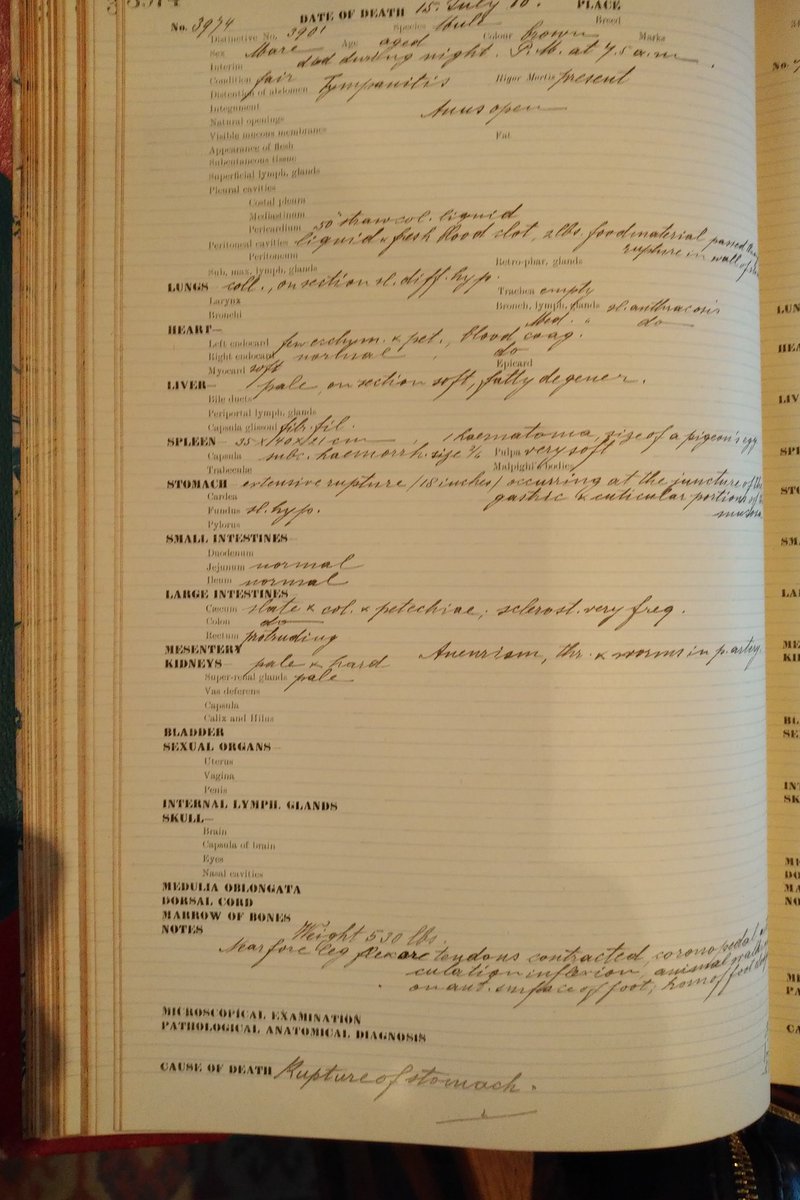 abigail woods tweet media