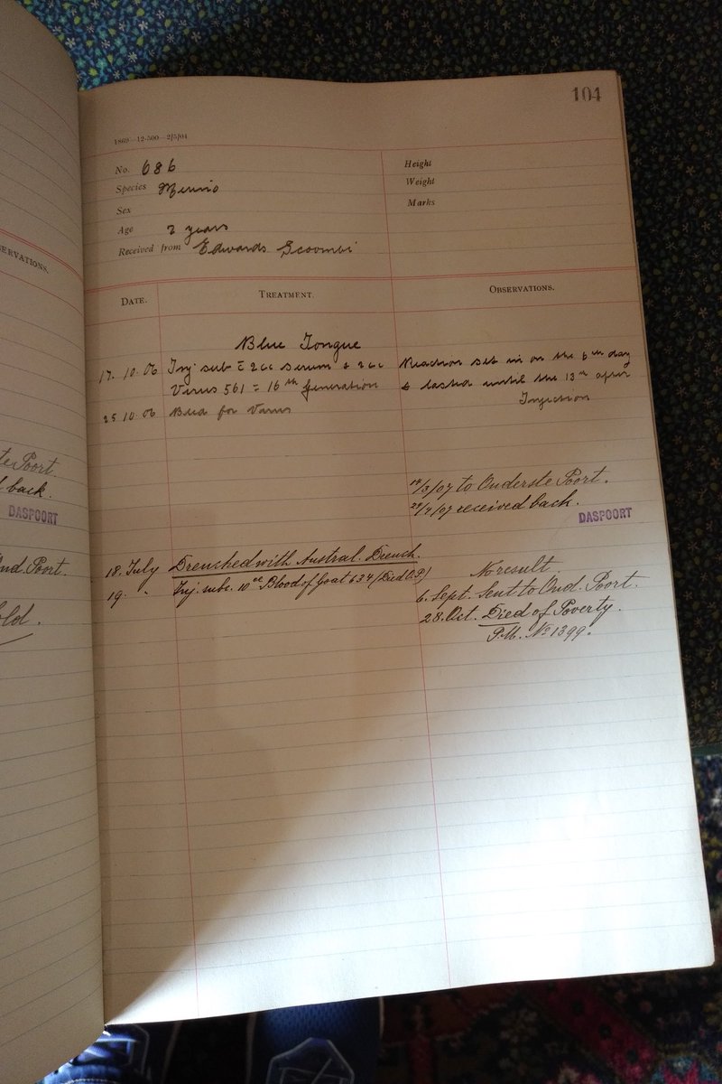 abigail woods tweet media