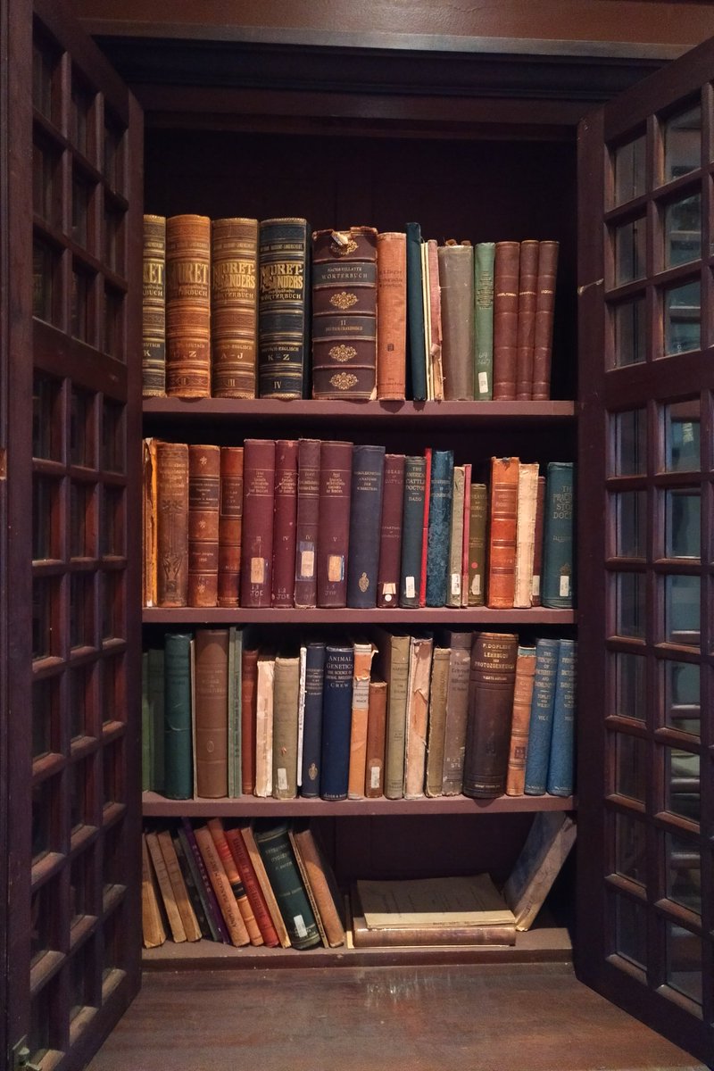 abigail woods tweet media