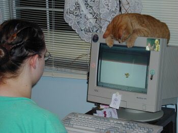 monitorcats's tweet image. 15