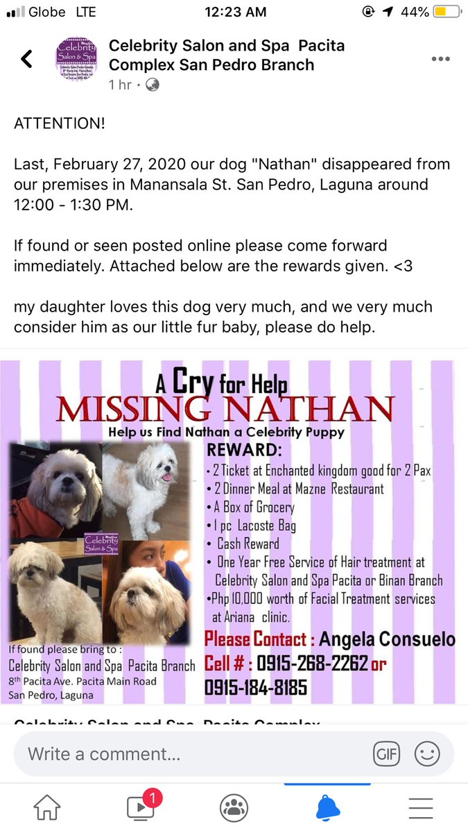 jajadelarosaa's tweet photo. ❗️❗️❗️MISSING DOG ❗️❗️❗️

THIS ARE THE REWARDS IF MABALIK NIYO ASO KO. PLS RETWEET 🥺

#FindingNathan #Lostdogsinsanpedro https://t.co/AISjibcTBM