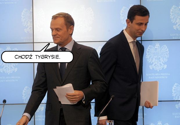Konwencja #Tygrys2020 - blog rk1