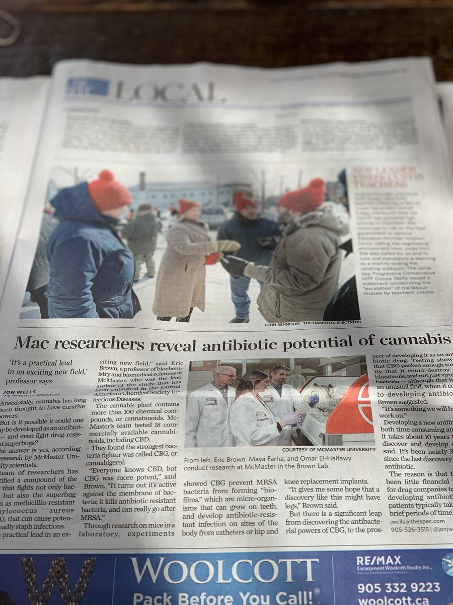 Sloboda_Lab's tweet image. Wow twice in the same newspaper! ⁦@eric_brown_bbs⁩ ⁦@BBS_McMasterU⁩ ⁦@McMasterU⁩ awesome work 👏🎉🧬 #mcmasterscience