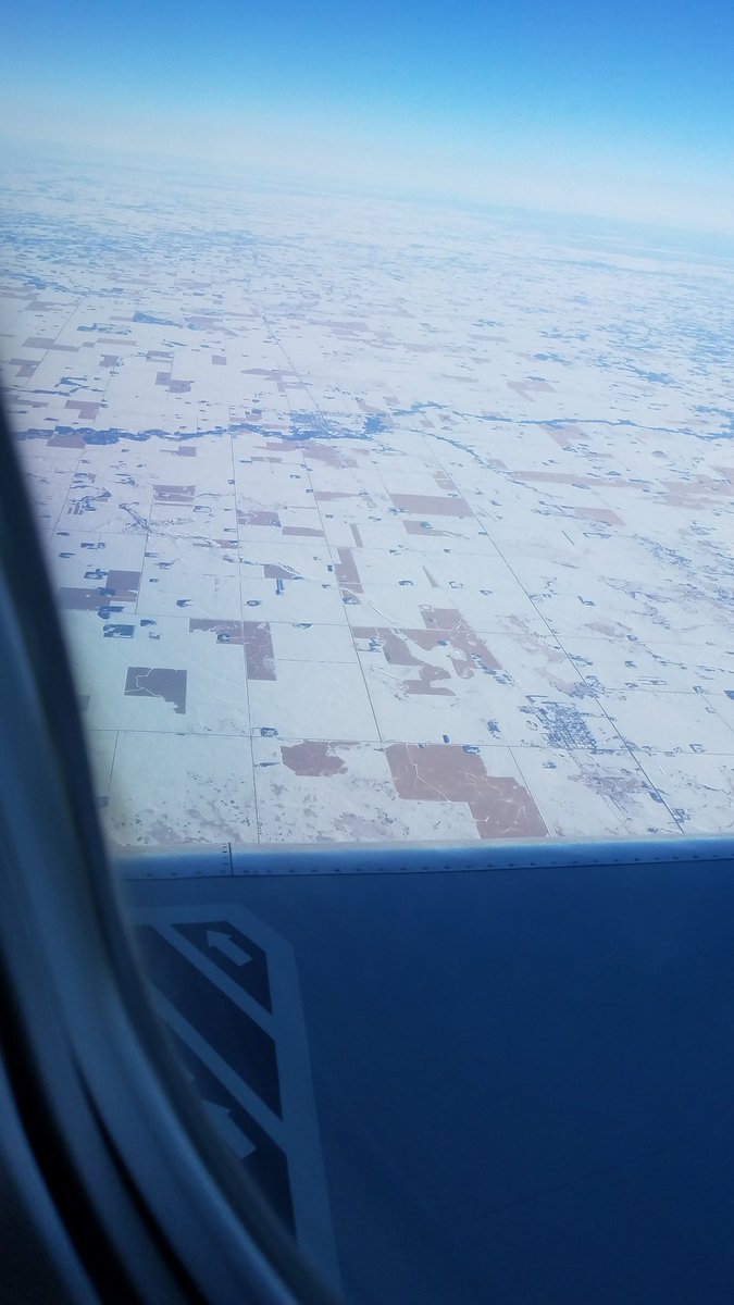 Unharvested #corn fields, west central Minnesota February 28, 2020.
#harvest2019
