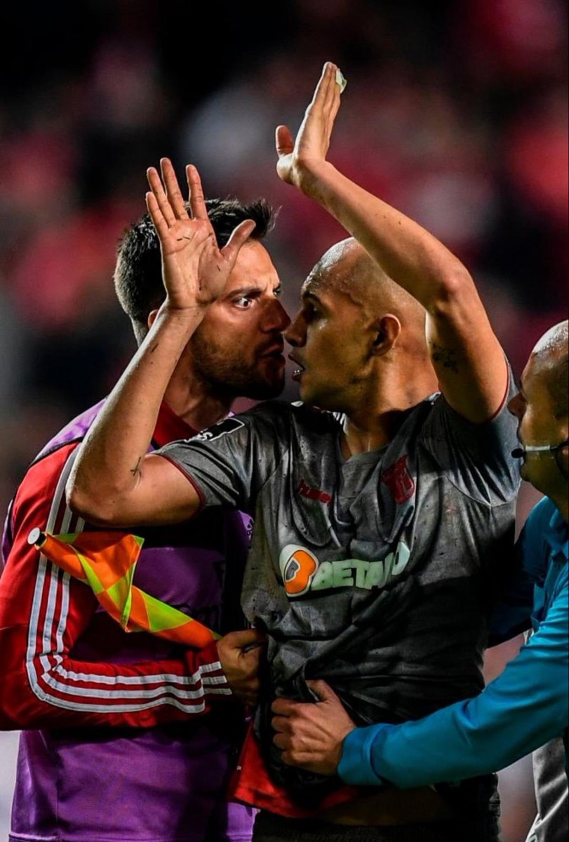 18castelo92's tweet photo. O que faz falta ao Benfica hoje, é jogadores com aquela garra, aquela paixão pela camisola que vestem
São poucos os que sentem mesmo a camisola..(Samaris, Ruben Dias, André Almeida..)
Saudades dos que passaram por aqui e tinham aquela garra, aquele amor pela camisola... ---> https://t.co/GlLmkuHa8R