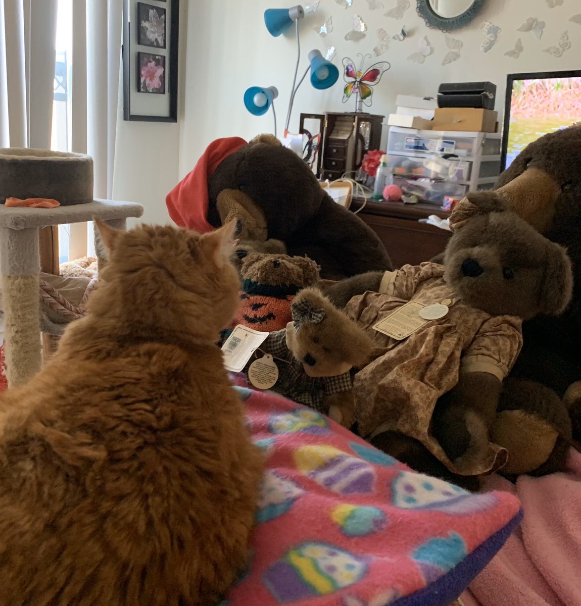 The teddy bears love paid naps