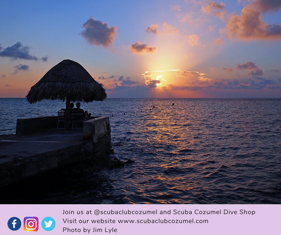 ScubaClubCzm's tweet photo. This is our backyard! #dreamy #scubadiving #sunset #diveresort #scubaclubcozumel https://t.co/YubkAwL12d