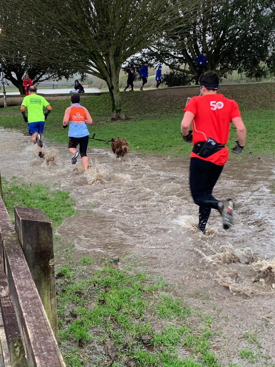 Barnstaple parkrun tweet media