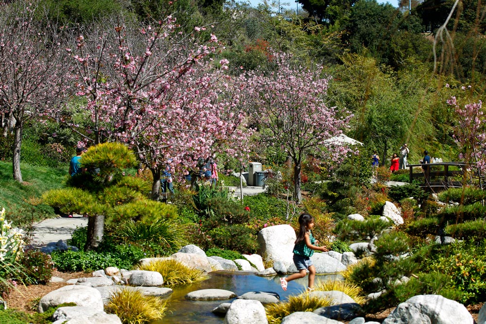 visitsandiego's tweet photo. Spring is blooming soon in San Diego. 😊 Check out the best places to see spring blooms in San Diego: https://t.co/72yaZGwzq8 https://t.co/3og5HQjIPN