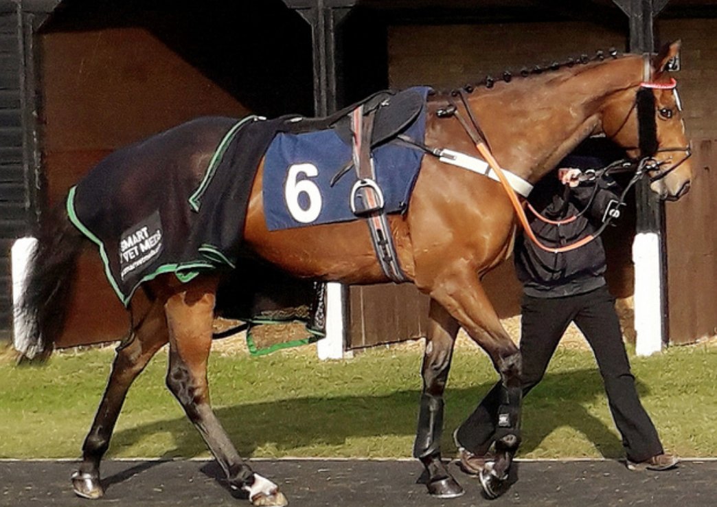 ianwilliamsraci's tweet image. Monjeni for the @CorinthianRace put up an impressive display to land the @betway Apprentice Handicap @LingfieldPark under @OlliStammers  #SaturdayWinner 

👉 bit.ly/1BywGAg