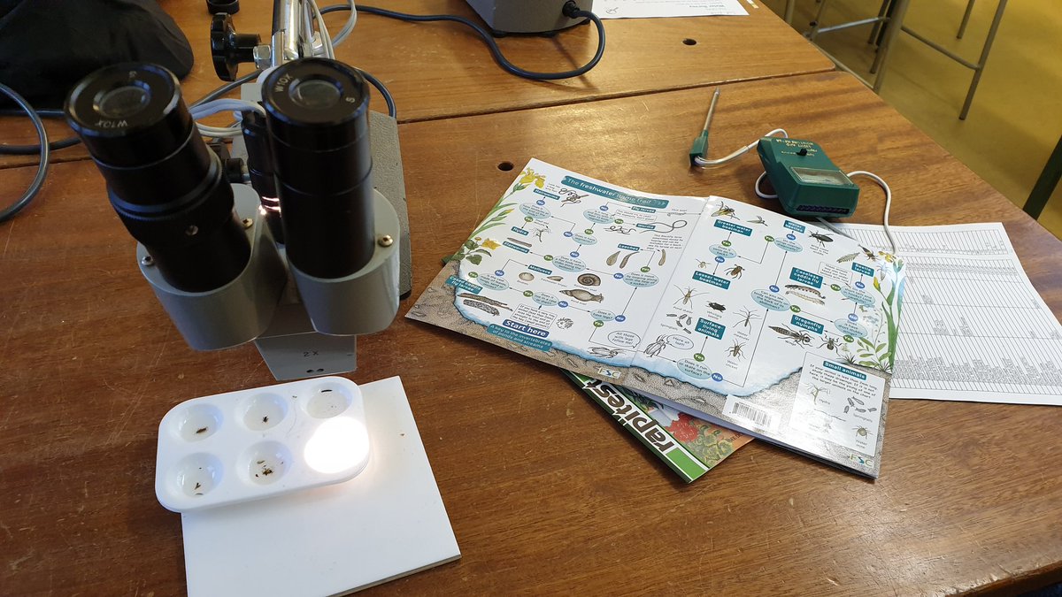 aadavies's tweet photo. This afternoon we tried a pond dip activity with @BlairvadachOEC staff. They have a fantastic facility for examining samples and identifying the pond life.
#DontClose @GlasgowCC https://t.co/LCWbH02jqs