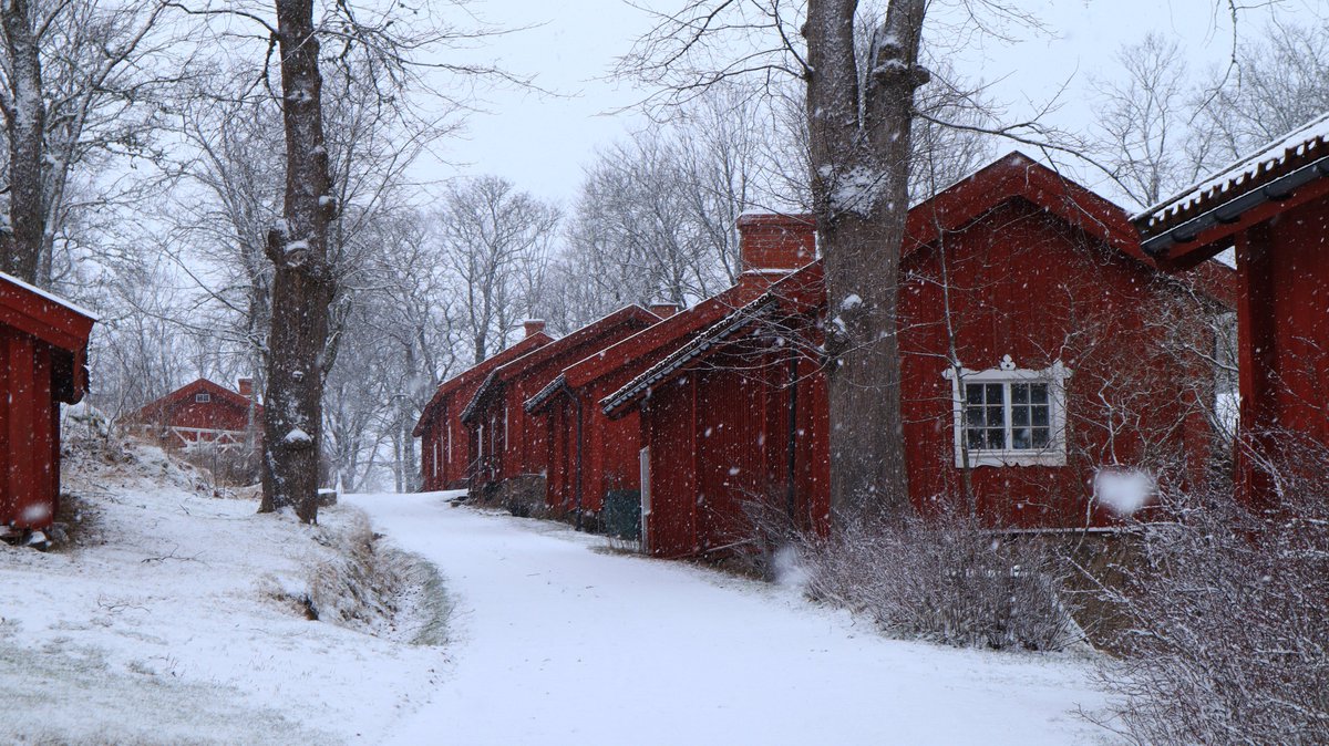 auli_hirvonen's tweet image. Kylään maisemaan -hanke tänään Fagervikissa. Ihana ylläri tämä lumikuorrute. #kuninkaantie #Fagervik #Inkoo #Ingå #Kyläänmaisemaan #Vyntillbyn