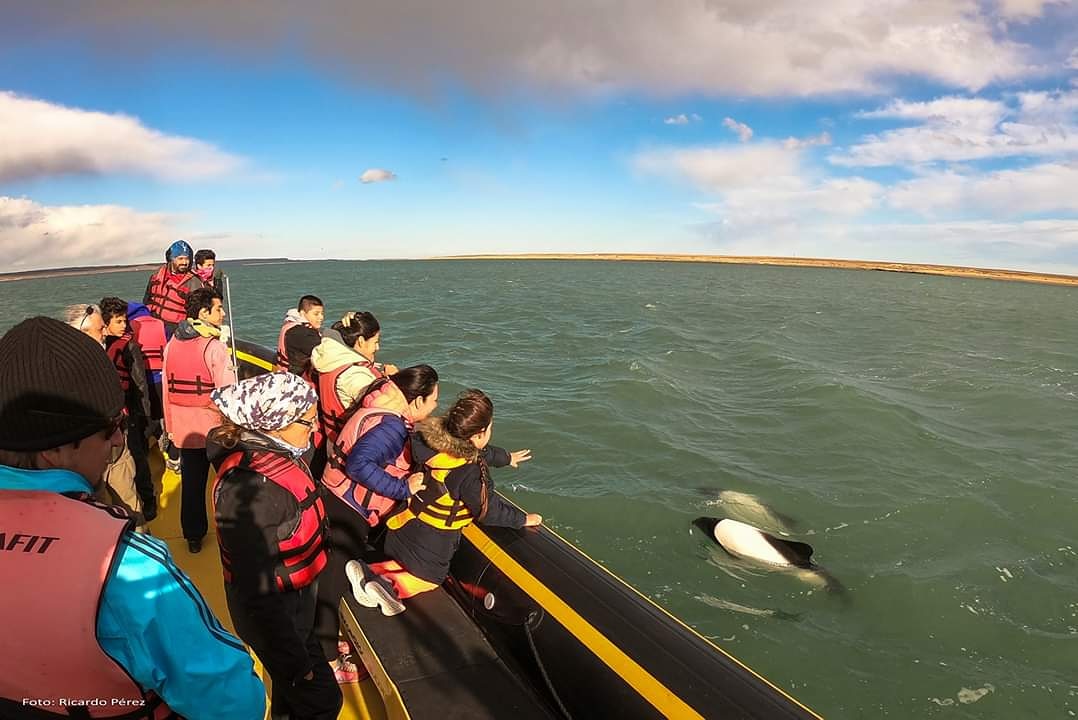 ☀️ Se viene un finde con mucho sol 😎 disfrutálo como más te guste en Deseado 😊 🐧🏊‍♀️🏄‍♀️🚴‍♀️

#Fauna #aventura #naturaleza #actvidades #experiencias #inolvidables #únicas #puertodeseado
Ph: Ricardo Pérez