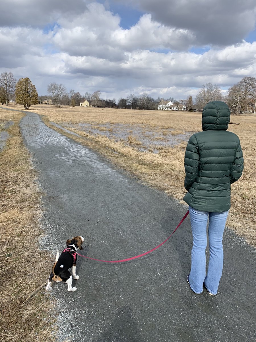 sdoppler2's tweet photo. A nice stroll with my ladies with some snowy clouds in the distance. #lebanongreen #waroffice #ctwx https://t.co/H6UrulWRnp