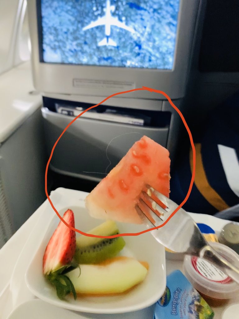 vikasgarg82's tweet photo. In today’s date with #COVID fears, hair in in-flight meal is just gross and dangerous @lufthansa #lh430 https://t.co/fHHkZkCneU