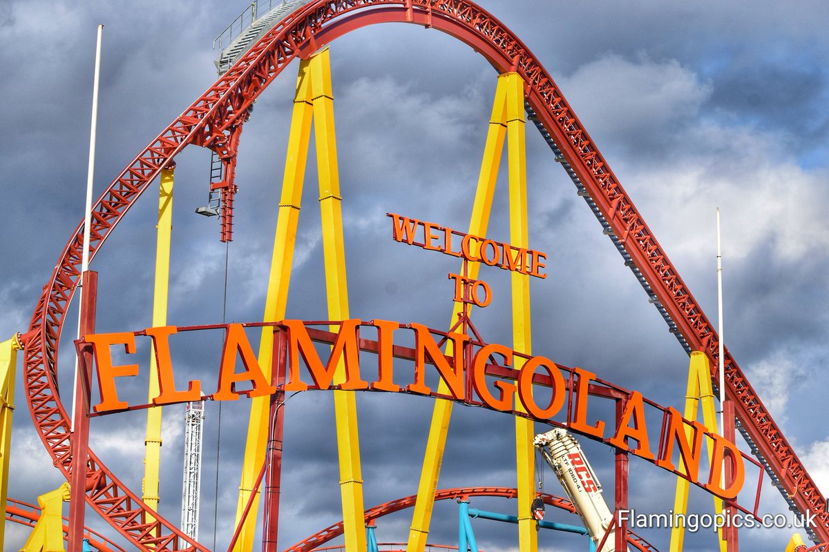 flamingopicsuk's tweet photo. We're ready for this @flamingolanduk 🙌 https://t.co/uy6S1zTFhp