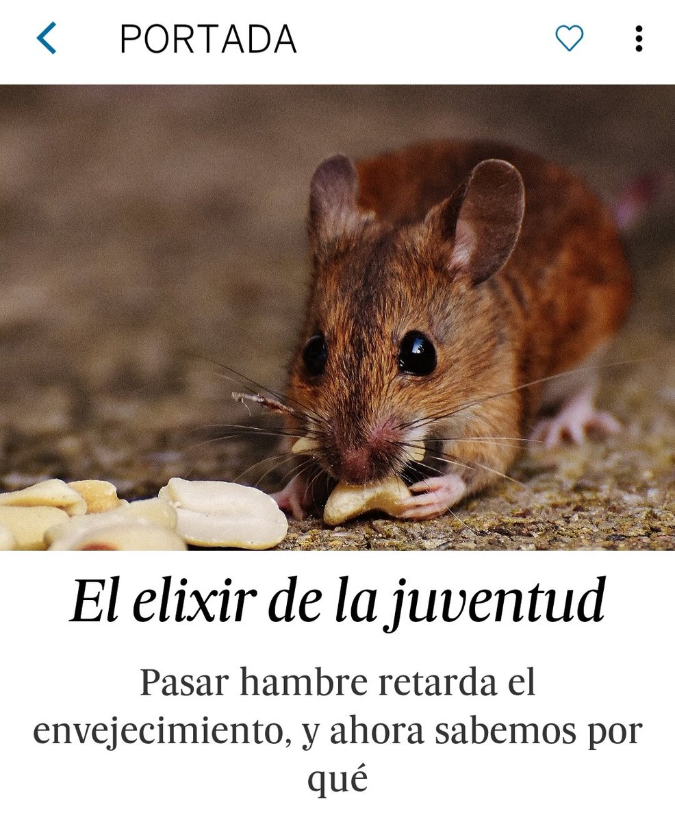GarciaAstor's tweet photo. Ya sabíamos que es mejor no irse de vacacaciones para no contaminar, que los pisos de 30 metros son lo más moderno y que el mejor plan para un fin de semana es el "nesting". Ahora lo mejor para la salud es pasar hambre. Tiene pinta de que la próxima crisis va a ser gigante https://t.co/mlVATpZ1lM