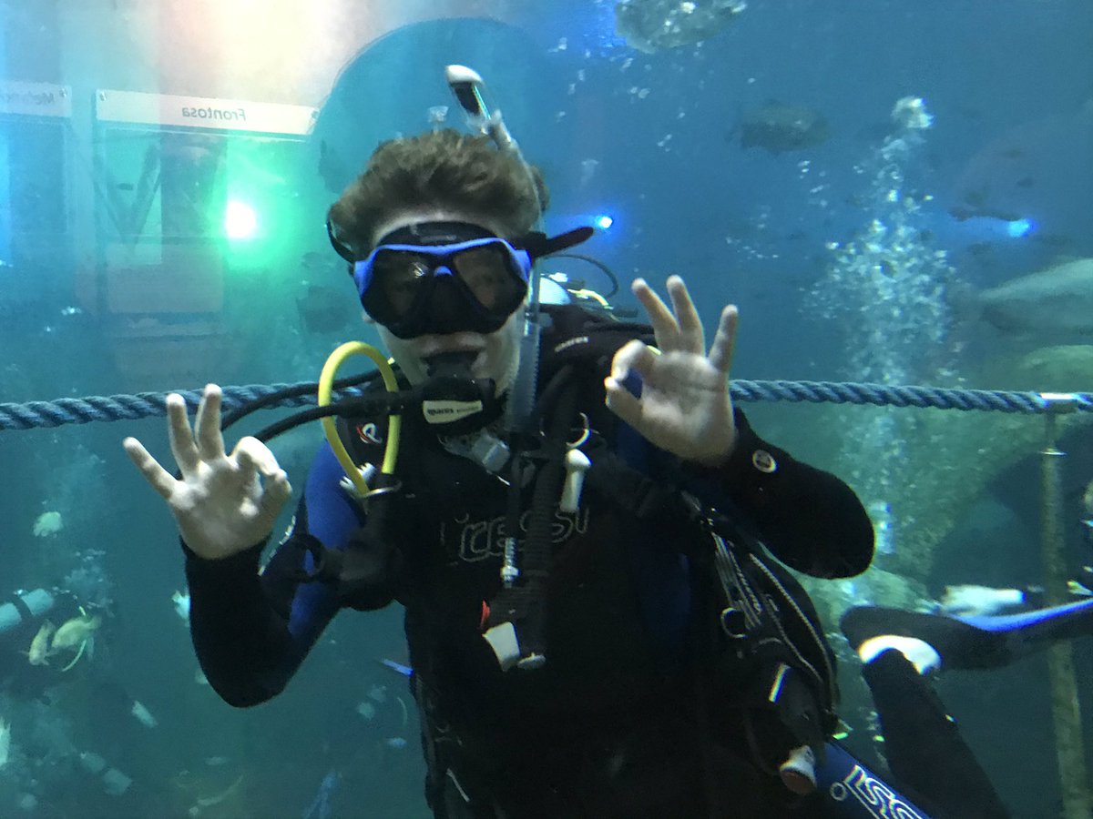 HARKEStransport's tweet photo. Mijn mannen aan het duiken bij @TodiDiving #livetodive https://t.co/1HNOYPBHMA