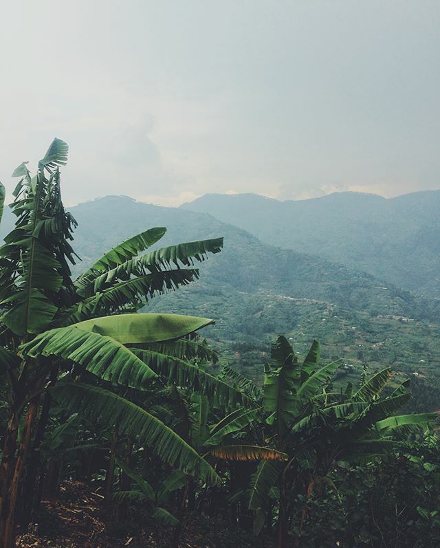 Rwandalicious (@rwandalicious) on Twitter photo 