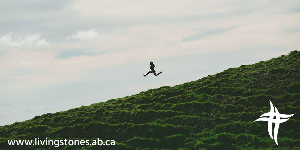 LSCRedDeer's tweet photo. Happy Leap Day! Fun Facts:
- A “leap day” is the extra day in the leap year: February 29.
- A “leapling” is a person born on a leap day. Any leap day babies out there? 
 #LeapDay #Feb29 #LSCGroupHug https://t.co/W1pZ8uO5Y4