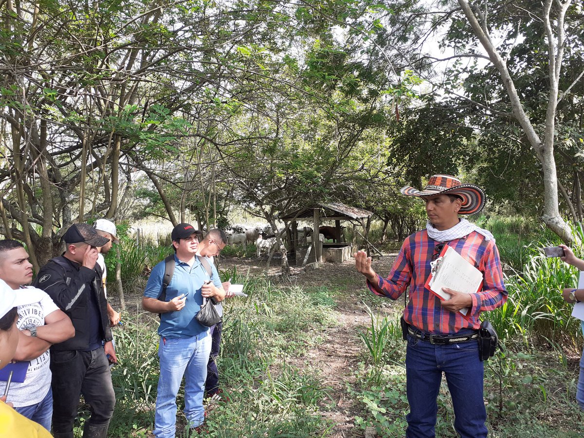 EcapmaS's tweet photo. Practicas de Introduccion a la Zootecnia y Nutricion de Rumiantes, Hacienda Vilela, CEAD Palmira https://t.co/yVcxFEP71u