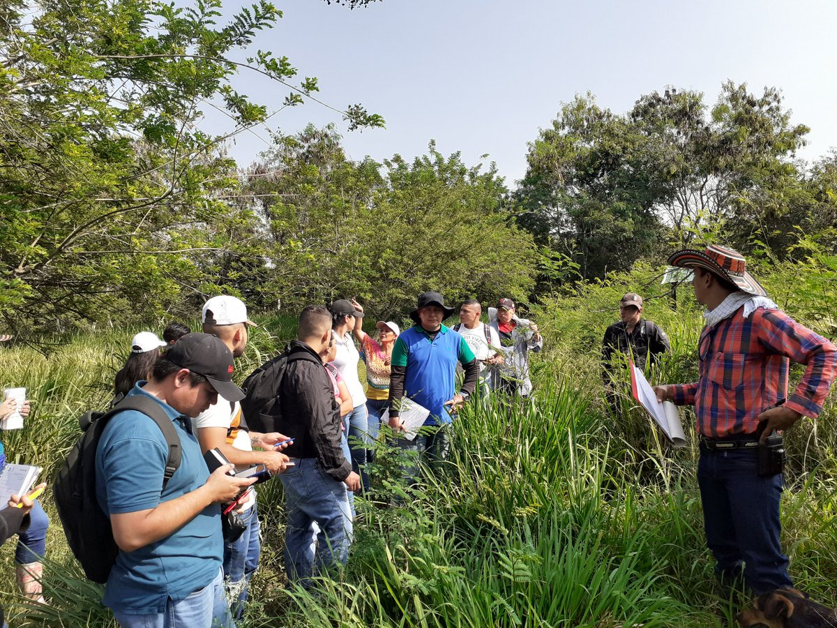 EcapmaS's tweet photo. Practicas de Introduccion a la Zootecnia y Nutricion de Rumiantes, Hacienda Vilela, CEAD Palmira https://t.co/yVcxFEP71u