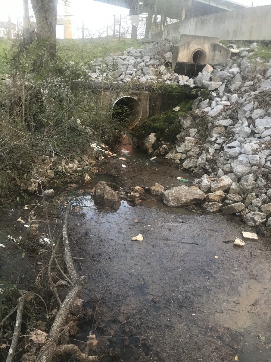 TUTR__app's tweet photo. Almost 100 lbs of trash removed from the Black Warrior River this morning🙀
•
How amazing it feels doing one good deed a week🙃
•
Join the TUTR Tuscaloosa Mobile App every Saturday from 8-9am for 
#TUTRTuscaloosaCleanup 🌎♻️

#UniversityofAlabama #StillmanCollege #SheltonState https://t.co/KJo0pG2AhA