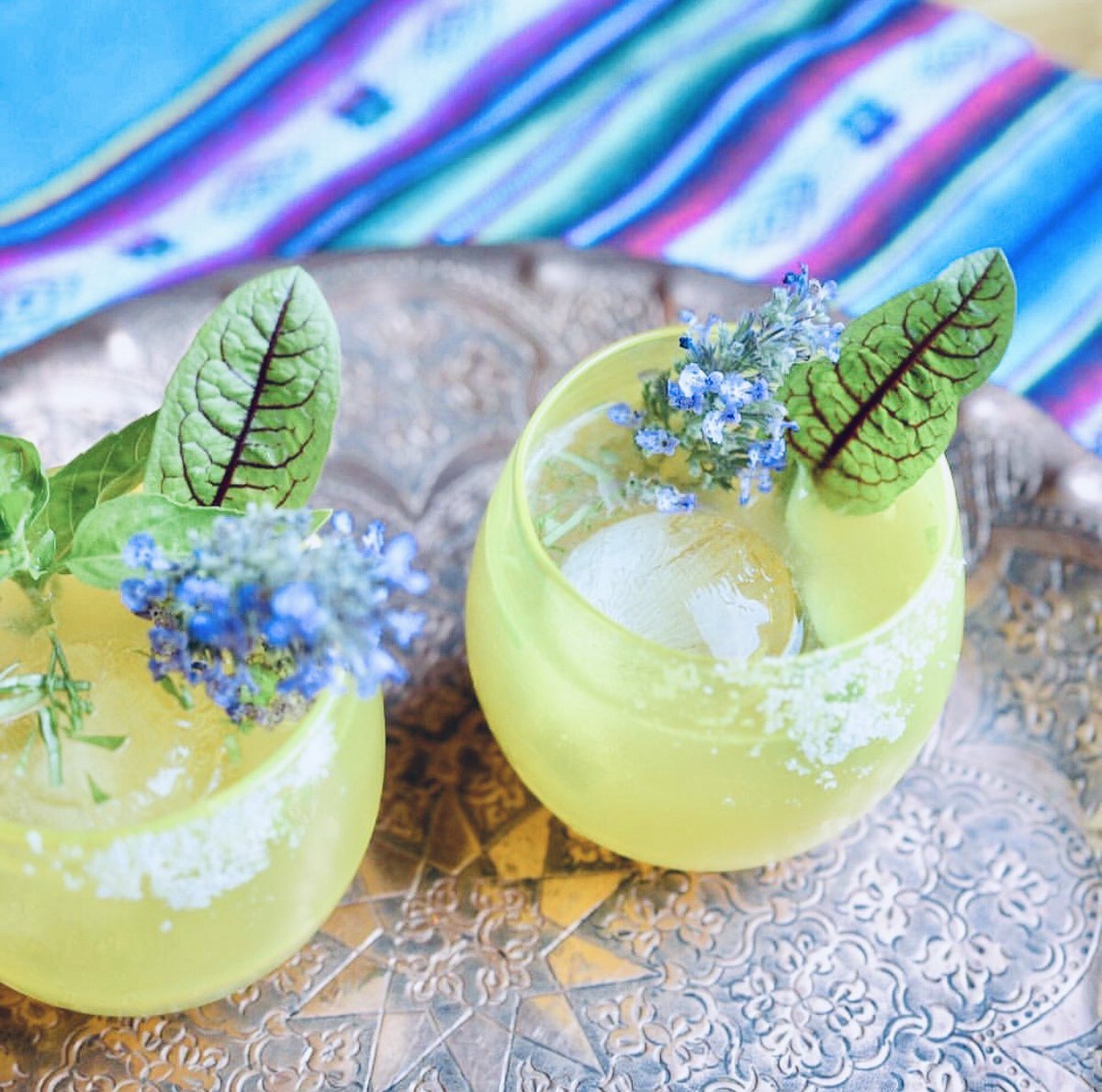 Blue Nectar Tequila (@truebluenectar) on Twitter photo An extra beautiful cocktail for the extra day this month by <a href="/GardenCocktails/">John Homan</a> –
The “Basil & Blood Orange Margarita”:
2 oz @bluenectartequila
1 oz @fabriziaspirits Blood Orange Liqueur
Splash of <a href="/atasteofolive/">A Taste of Olive</a> Orange White Balsamic Vinegar
.25 oz agave nectar
basil
Enjoy! An extra beautiful cocktail for the extra day this month by <a href="/GardenCocktails/">John Homan</a> –
The “Basil & Blood Orange Margarita”:
2 oz @bluenectartequila
1 oz @fabriziaspirits Blood Orange Liqueur
Splash of <a href="/atasteofolive/">A Taste of Olive</a> Orange White Balsamic Vinegar
.25 oz agave nectar
basil
Enjoy!