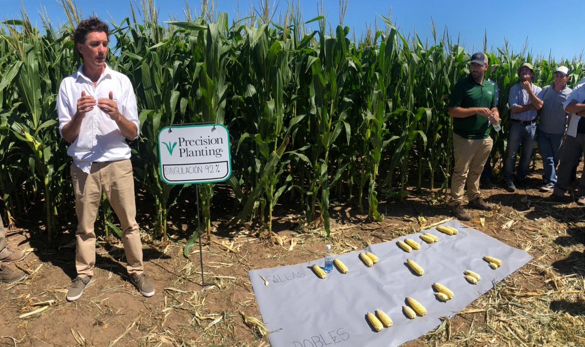 LUIS VERRI tweet media