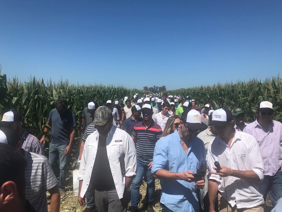 LUIS VERRI tweet media