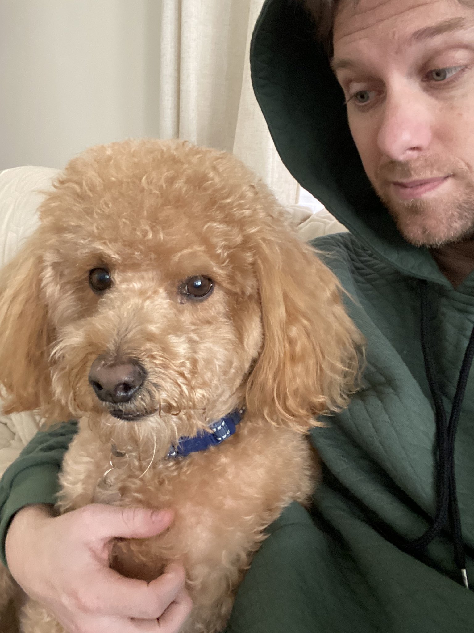 Barstool viva online quilted hoodie
