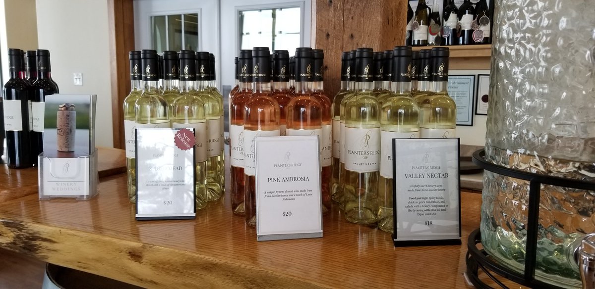 HfxLunch tweet media