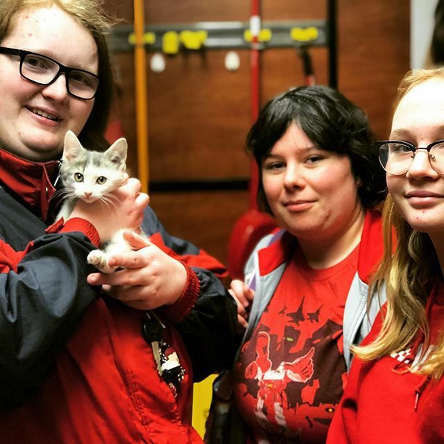 This kitten is not a robot in disguise.. but Greaser (Now “Wheeljack” ) has found  his forever home!  Make sure to Roll-out, and see all our kittens up for adoption the #nationaladoptionweekend !! We don’t know if these transformers puns are landing, but… ift.tt/32E3sqb