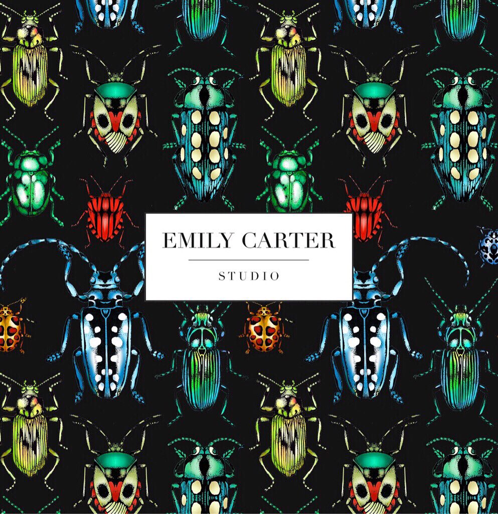 Jewelled Beetle Print | Hand illustrated designs available to purchase and license from Emily Carter Studio | emily-carter.co.uk