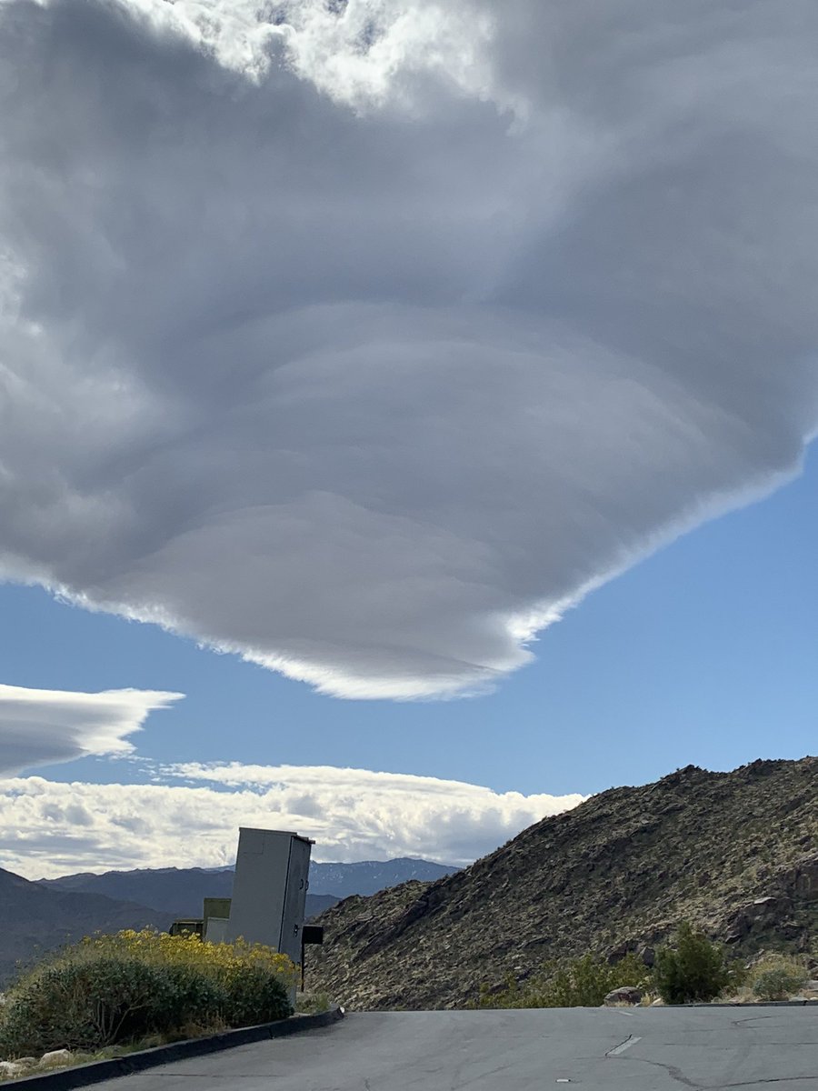 Anne DiGiovanna tweet media