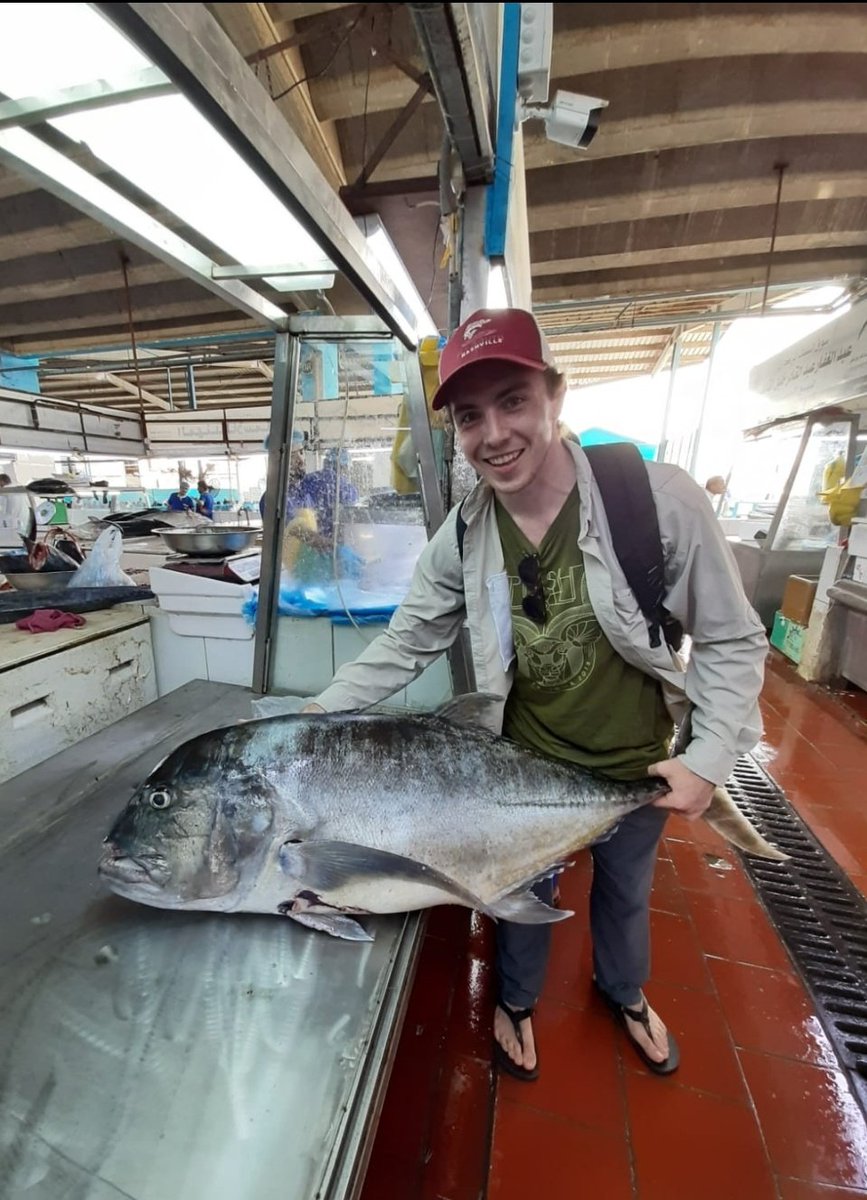 Don't let the fish eye lens fool you, this big guy (Caranx ignobilis) was well over a meter long!

Sad to see these fish being landed here in Jeddah, but it certainly gave us an appreciation of how big this amazing fish can get. 

#GiantTrevally #FishNerd #RedSea