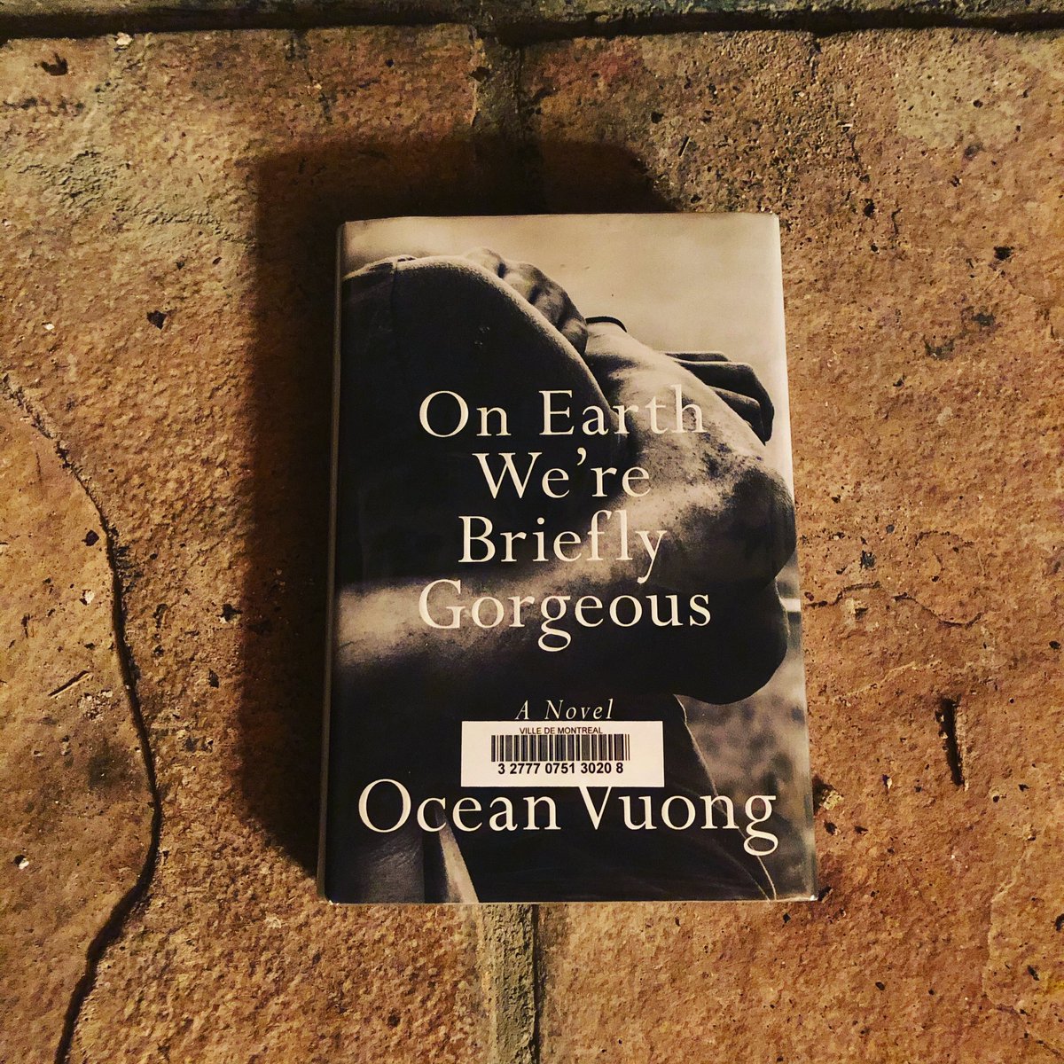 23/52On Earth We’re Briefly Gorgeous by Ocean Vuong. Take a deep breath before starting this one. #52booksin52weeks  #2020books  #booksof2020