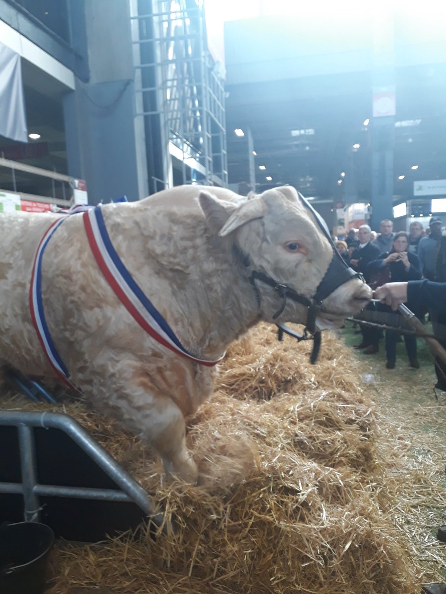 La Caisse Locale Nord-Drôme au #SalonAgriculture2020 avec un accueil au top sur le stand du  <a href="/CreditAgricole/">Crédit Agricole</a> 😀 puis visite incontournable à Mme Idéale 😉 #Norddrome #agriculture #caisselocale <a href="/ca_centrest/">Crédit Agricole Centre-est</a>