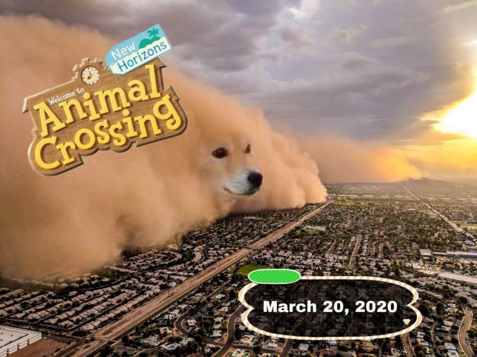 20 days ..
