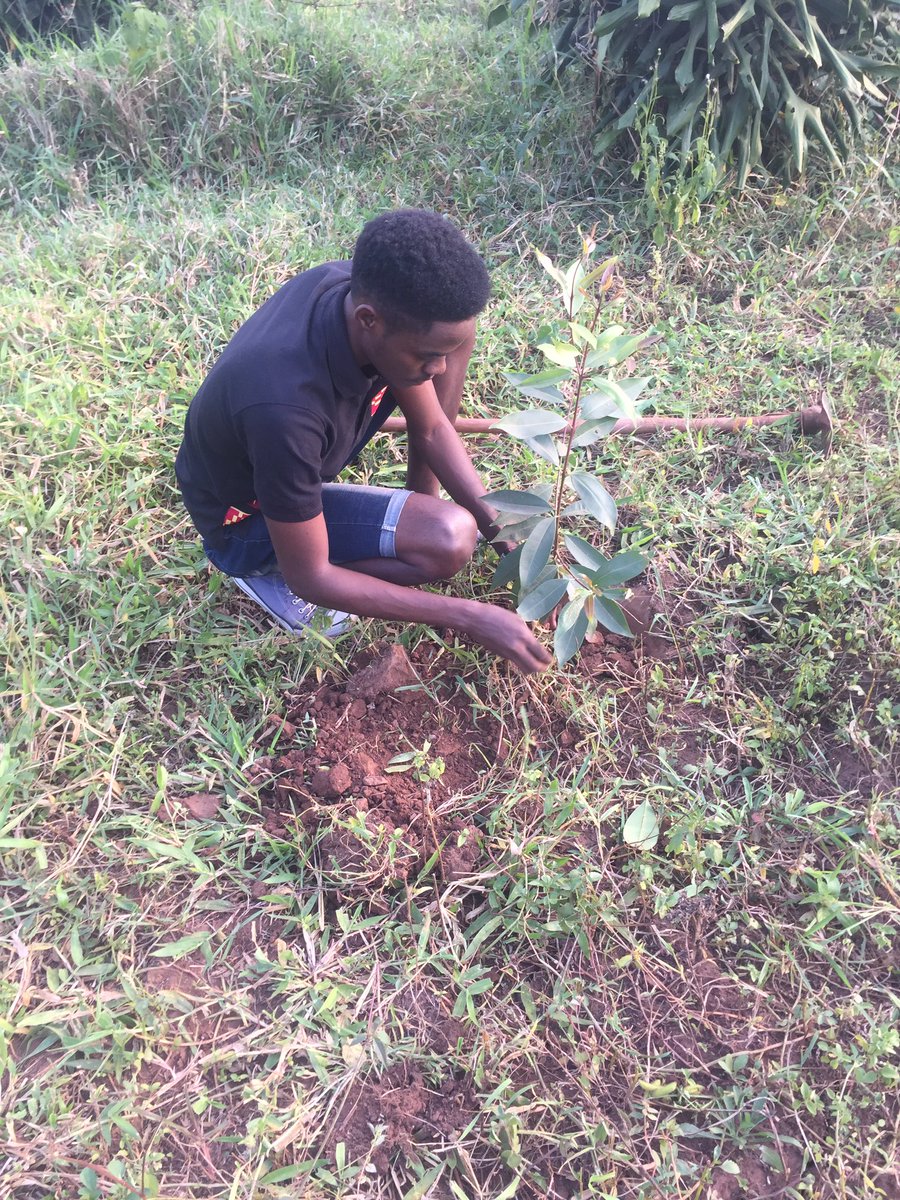 10) Mulindwa Guy,  @mulindwa_guy, is an activist from Uganda.  He campaigns for various things, including the Congo, and plants trees!