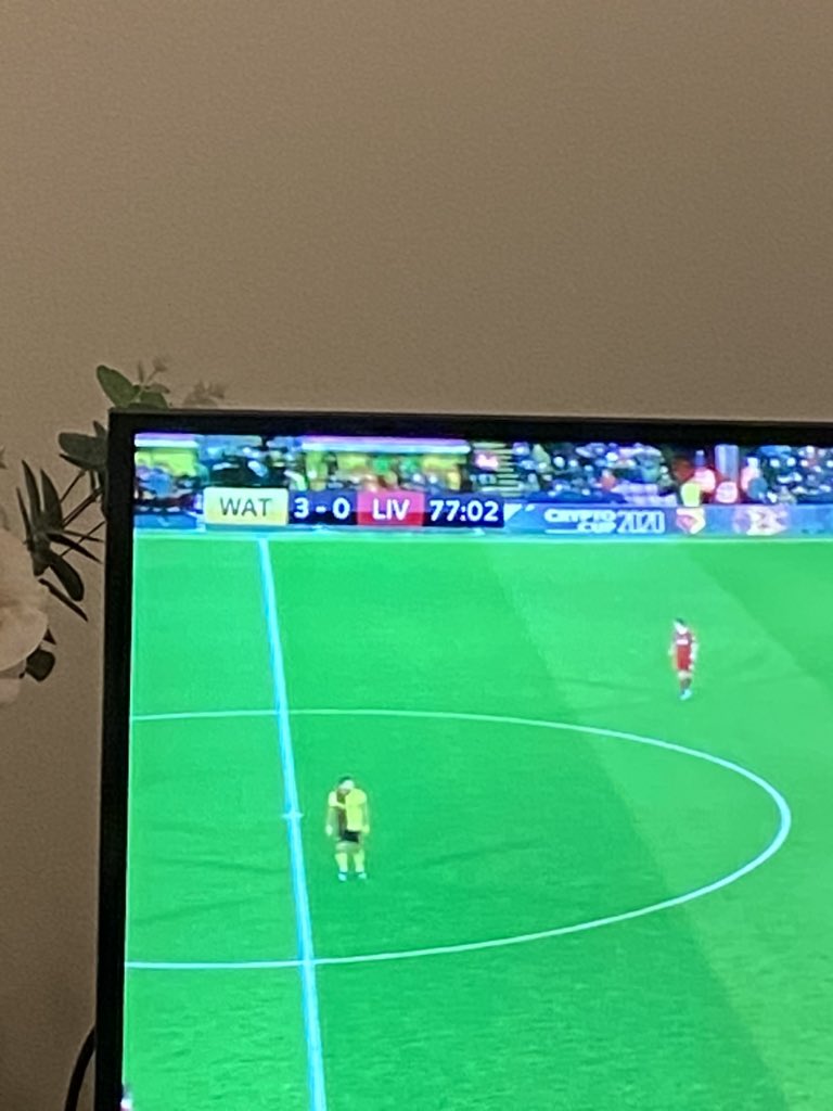 🥰🥰🥰 #watfordfc I love this club