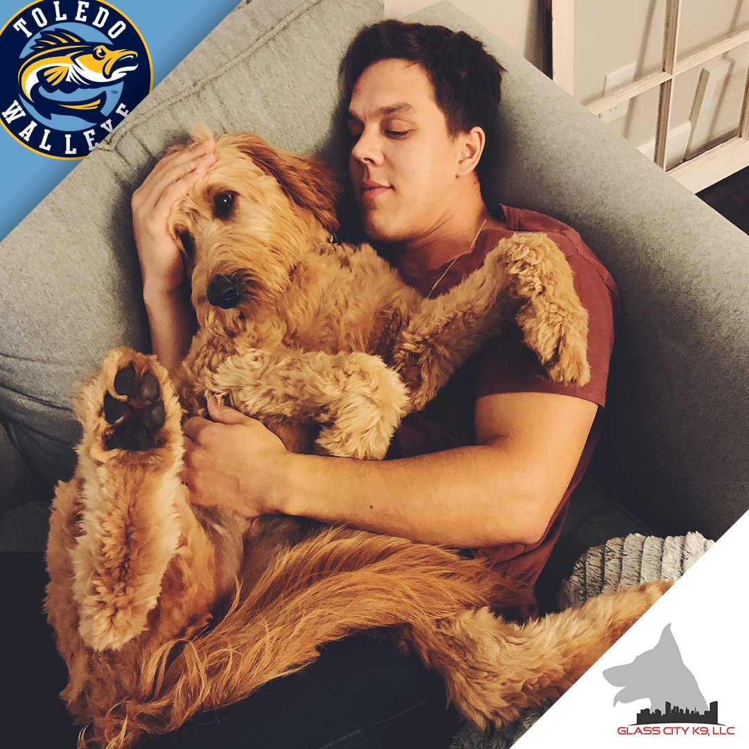 Toledo Walleye tweet media
