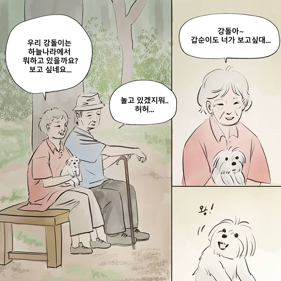 별나라로 온 편지 
instagram.com/p/B8r5M4fH7yy/…
#두부의동물화실 #고양이 #cat #길고양이 #고양이별 #편지