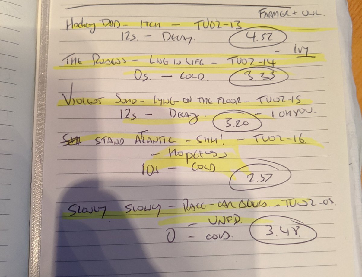 DAILY SCAR 🐏 tweet media