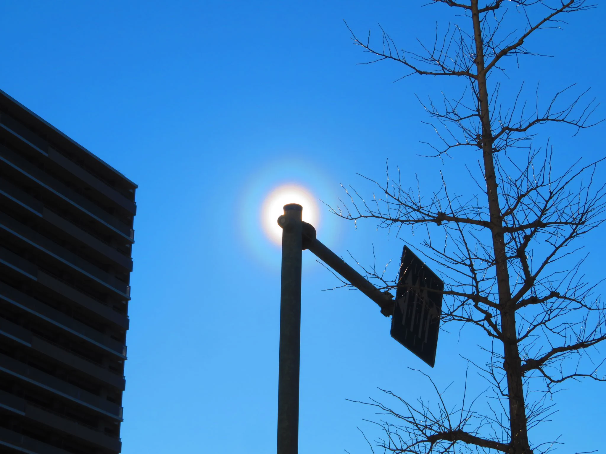 この現象が見れたらやばい？？花粉で光が回折して発生する大気光学現象の「花粉光環」
