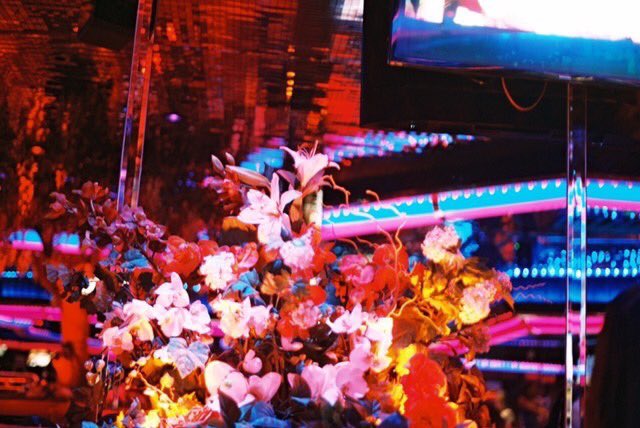 PeppermillVegas's tweet image. Nothing says vintage like silk flowers.💐

📷: Holly V.

#PeppermillVegas #FiresideLounge