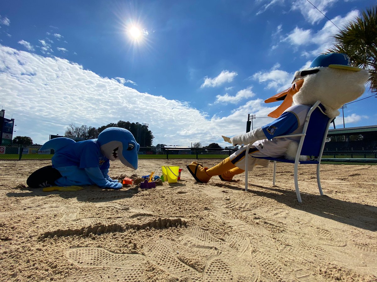 Pelicanbaseball's tweet photo. life is a beach, 
we’re just playing in the sand.

#MBPelicans | #MiLB https://t.co/O5BIrhtCf5