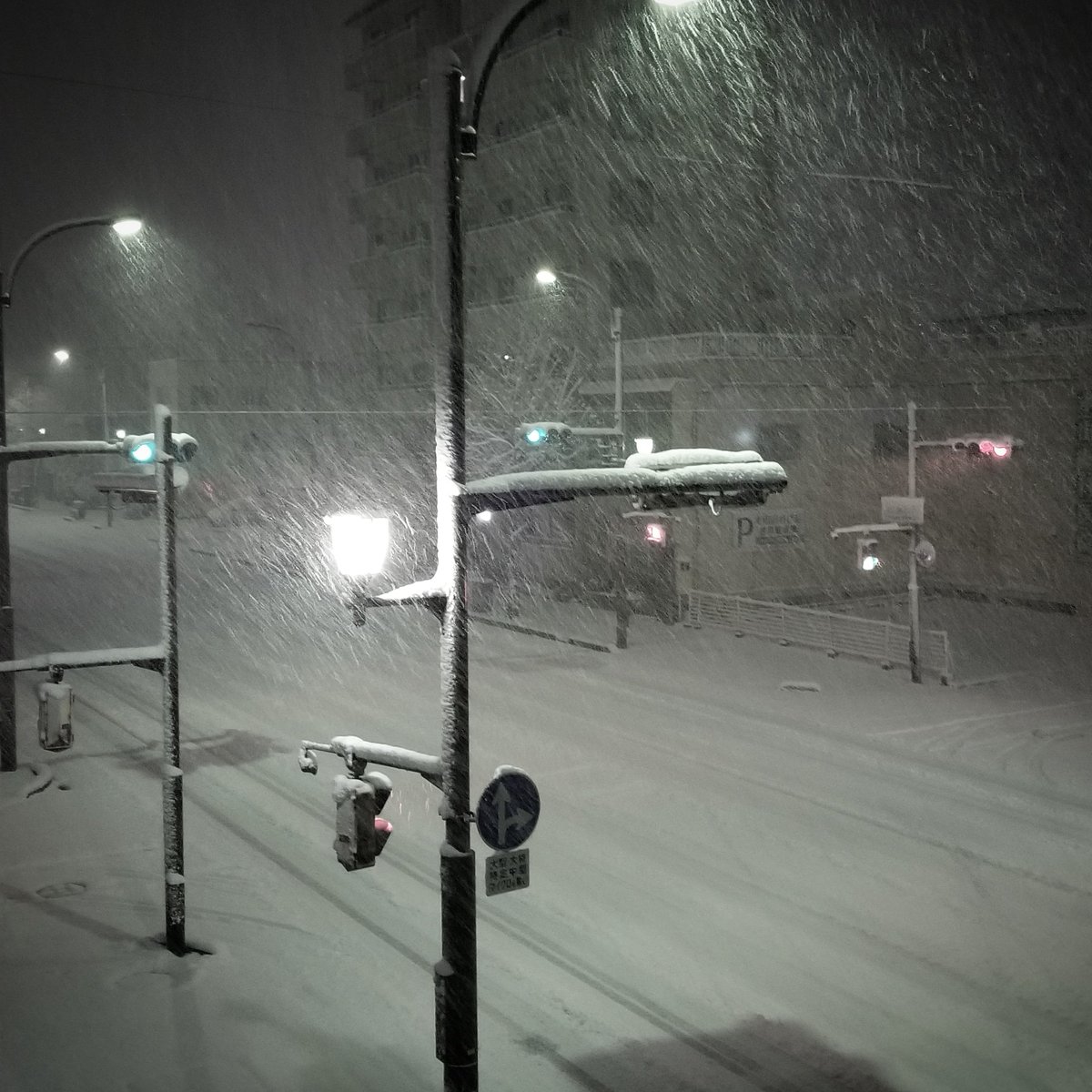 赤井孝美 Akai Takami 積もらないと思ってたら 夜明け前には見事に雪景色 ディテールが潰れて街はミニチュア的景観 こりゃペギラ来てるね 積雪 ペギラが来た ミニチュアセット 雪景色 T Co J0jed74d4c Twitter